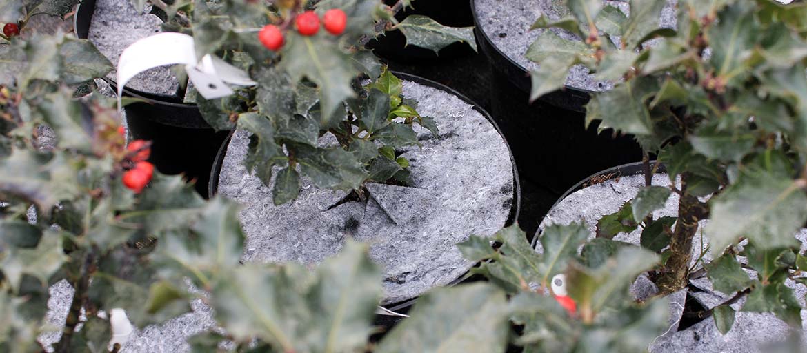 أقراص بوعاء غير منسوجة لمكافحة الحشائش في بولندا